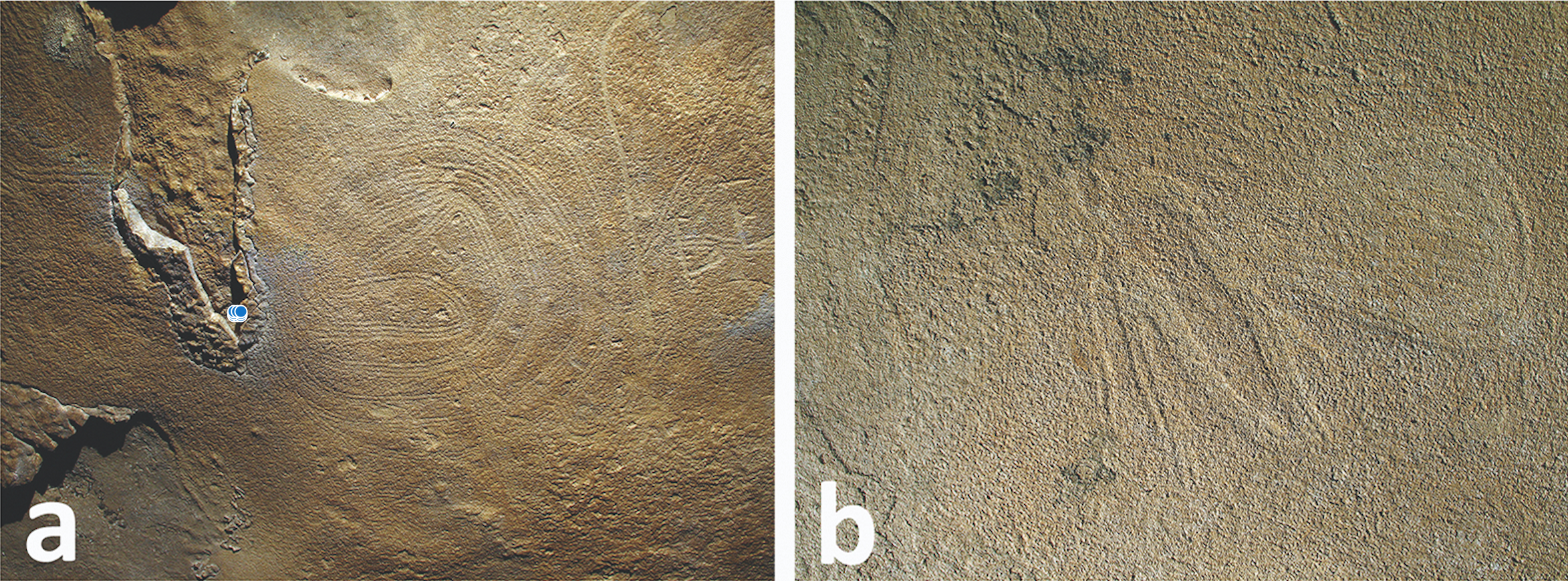 Small mud glyphs of a coiled serpent (left) and wasp (right) in the cave. (Photo: A. Cressler)