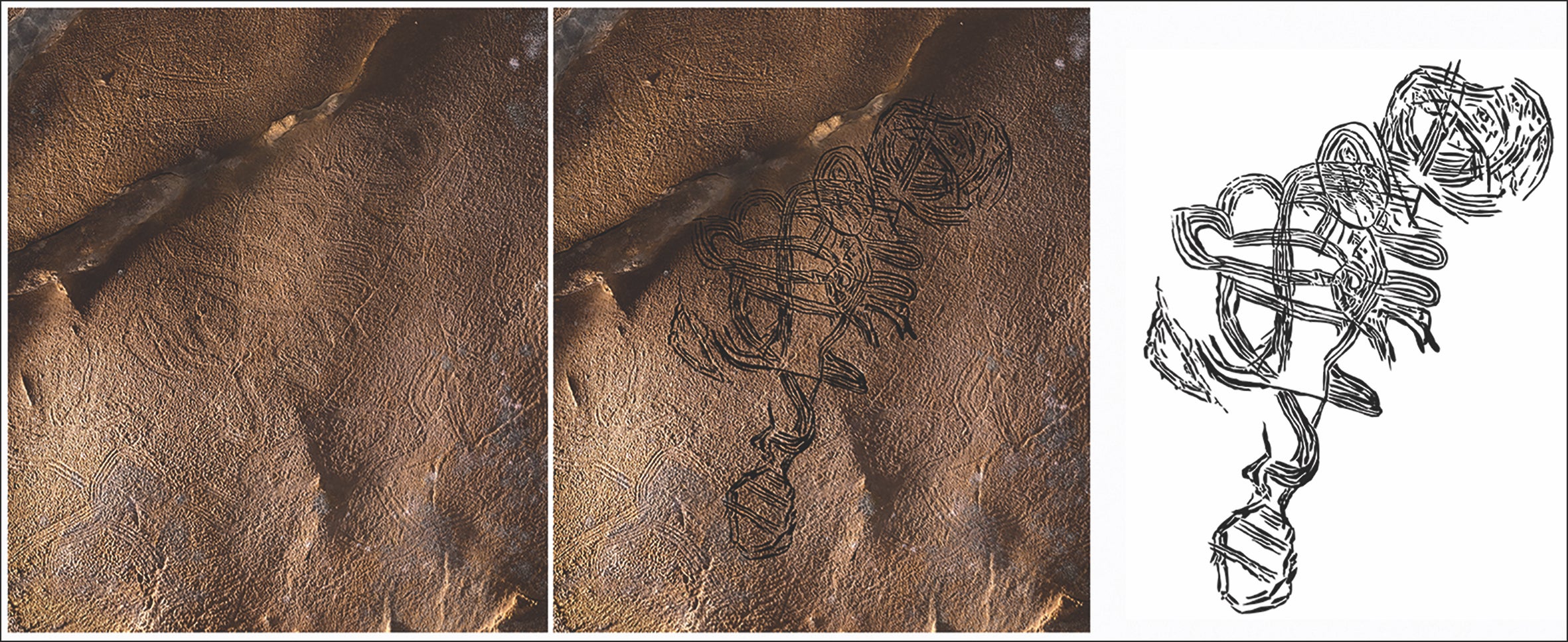 A swirling glyph possibly depicting a rattlesnake. (Graphic: Photograph by S. Alvarez; illustration by J. Simek.)