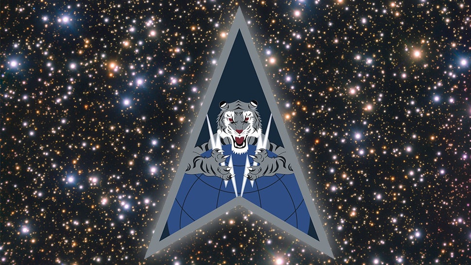 Emblem of Space Delta 5 (Graphic: NASA/Space Force/Gizmodo)