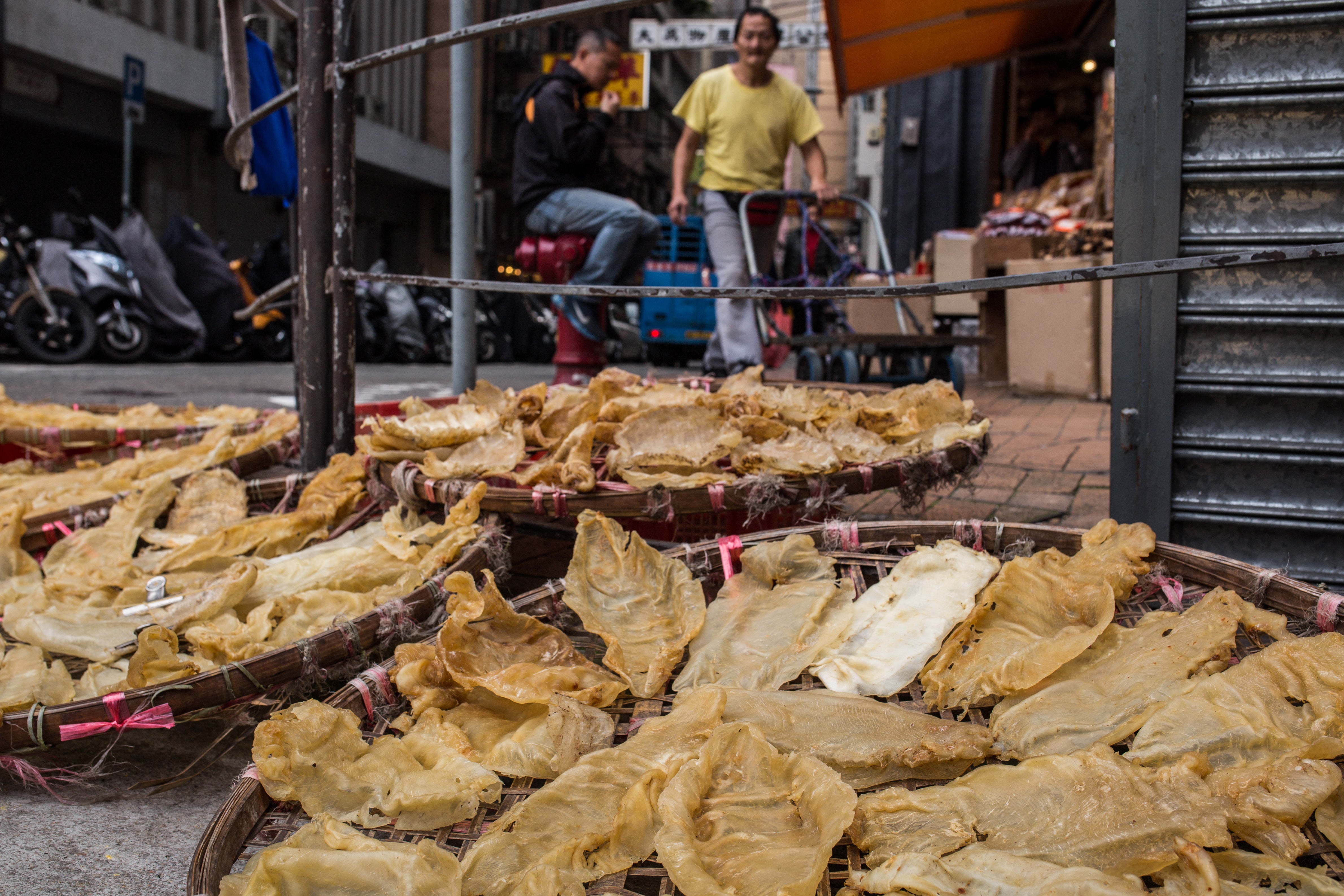 Dried totoaba bladders at a market in Hong Kong. (Photo: ANTHONY WALLACE/AFP, Getty Images)