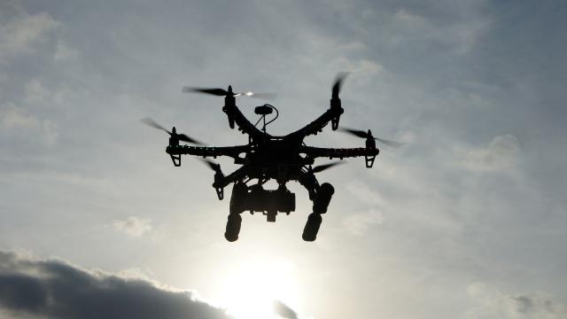 A Drone Smuggling Guns Across the U.S.-Canada Border Got Caught in a Tree