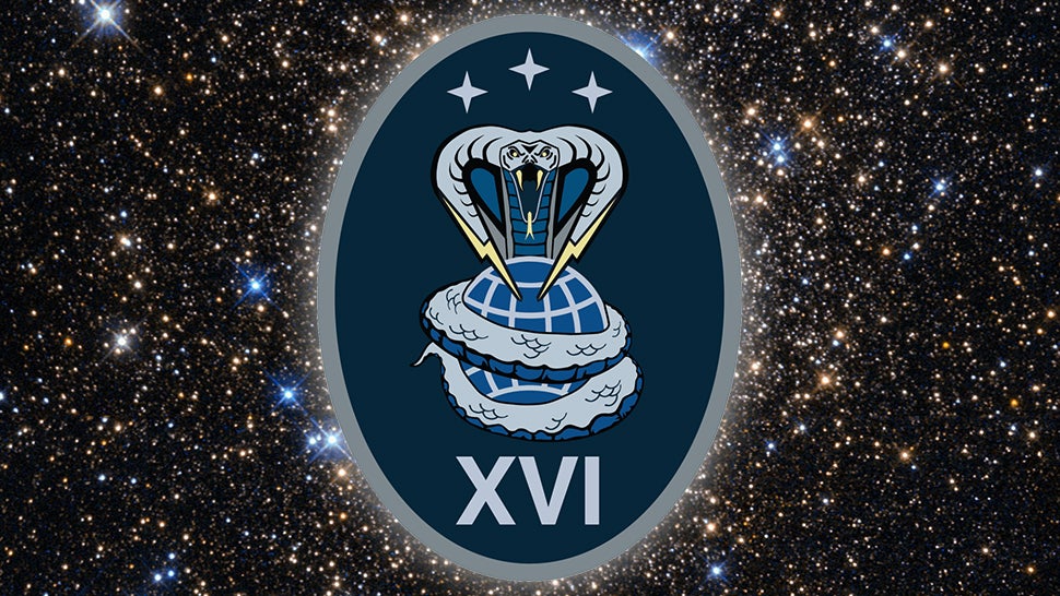 Emblem of Space Delta 3's 16th Electromagnetic Warfare Squadron (Graphic: NASA/Space Force/Gizmodo)