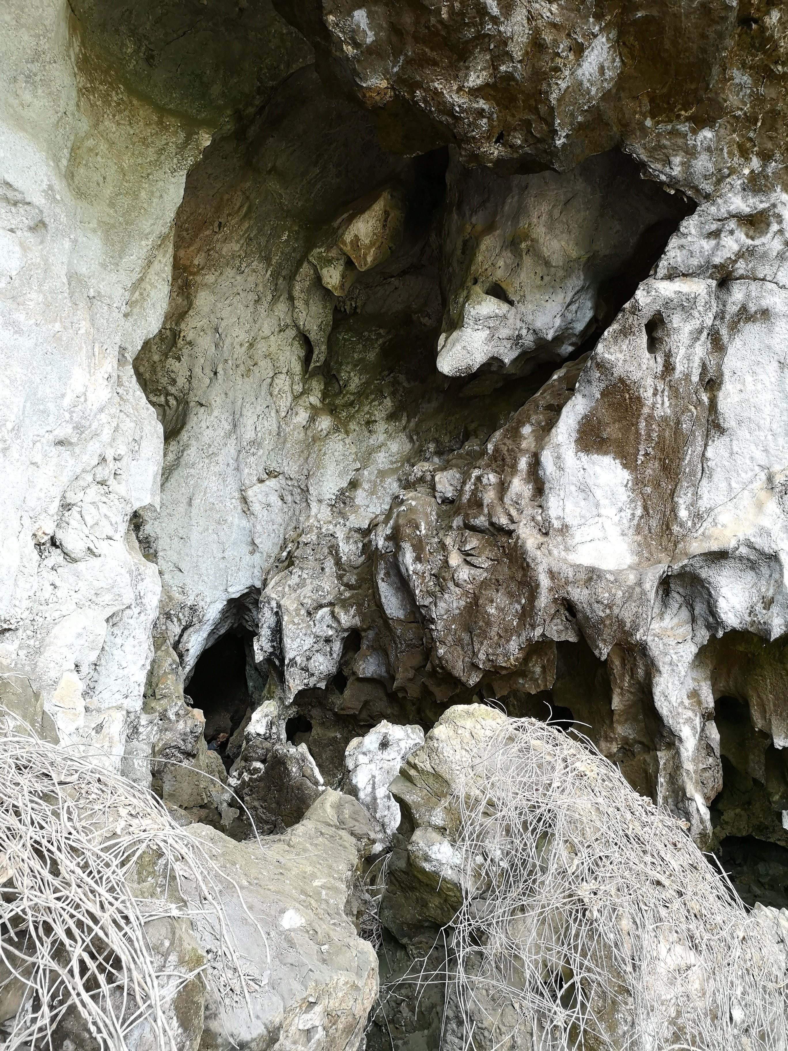 The entrance to Tam Ngu Hao 2 cave, also known as Cobra Cave. (Photo: F. Demeter et al., 2022)