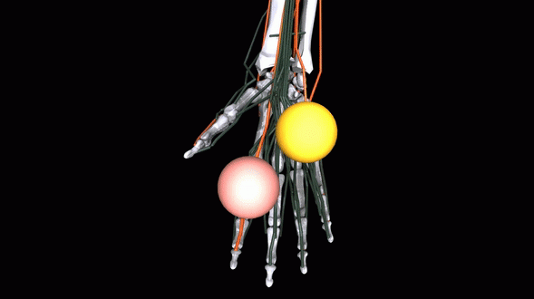 Meta’s New Skeleton Simulator ‘MyoSuite’ Could Help Develop Prosthetics
