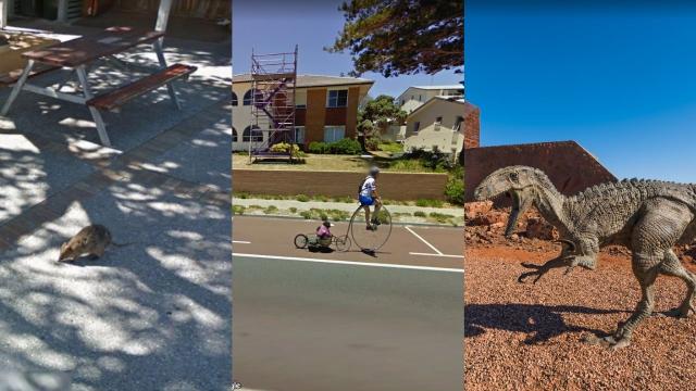‘Man and His Penguin’ Is the Best Thing I’ve Ever Seen on Google Street View