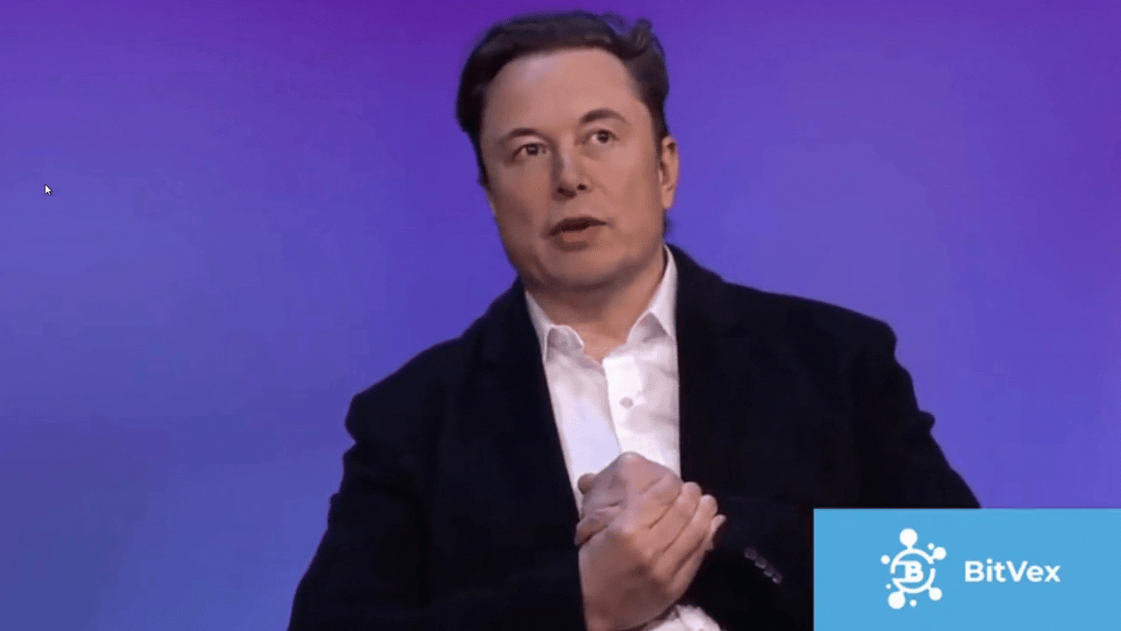 Deepfake Elon Musk tells people to invest in the scam BitVex platform. Do not do this. (Gif: Jody Serrano / Gizmodo)