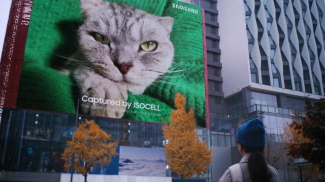 This Adorable 616-Square-Metre Cat Photo is a Glimpse at the Future of Mobile Photography