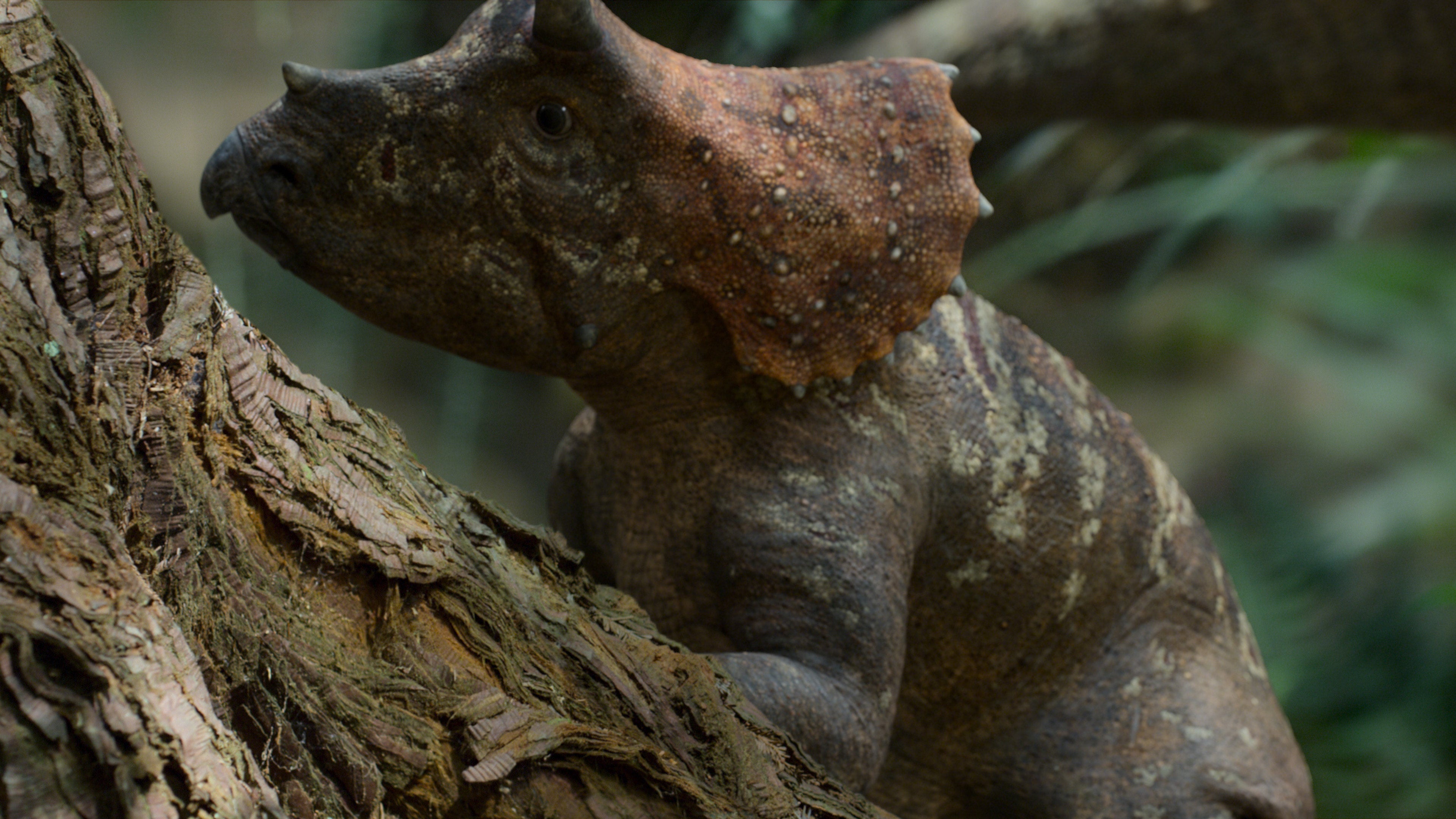 A baby Triceratops in a forest. (Image: Apple)