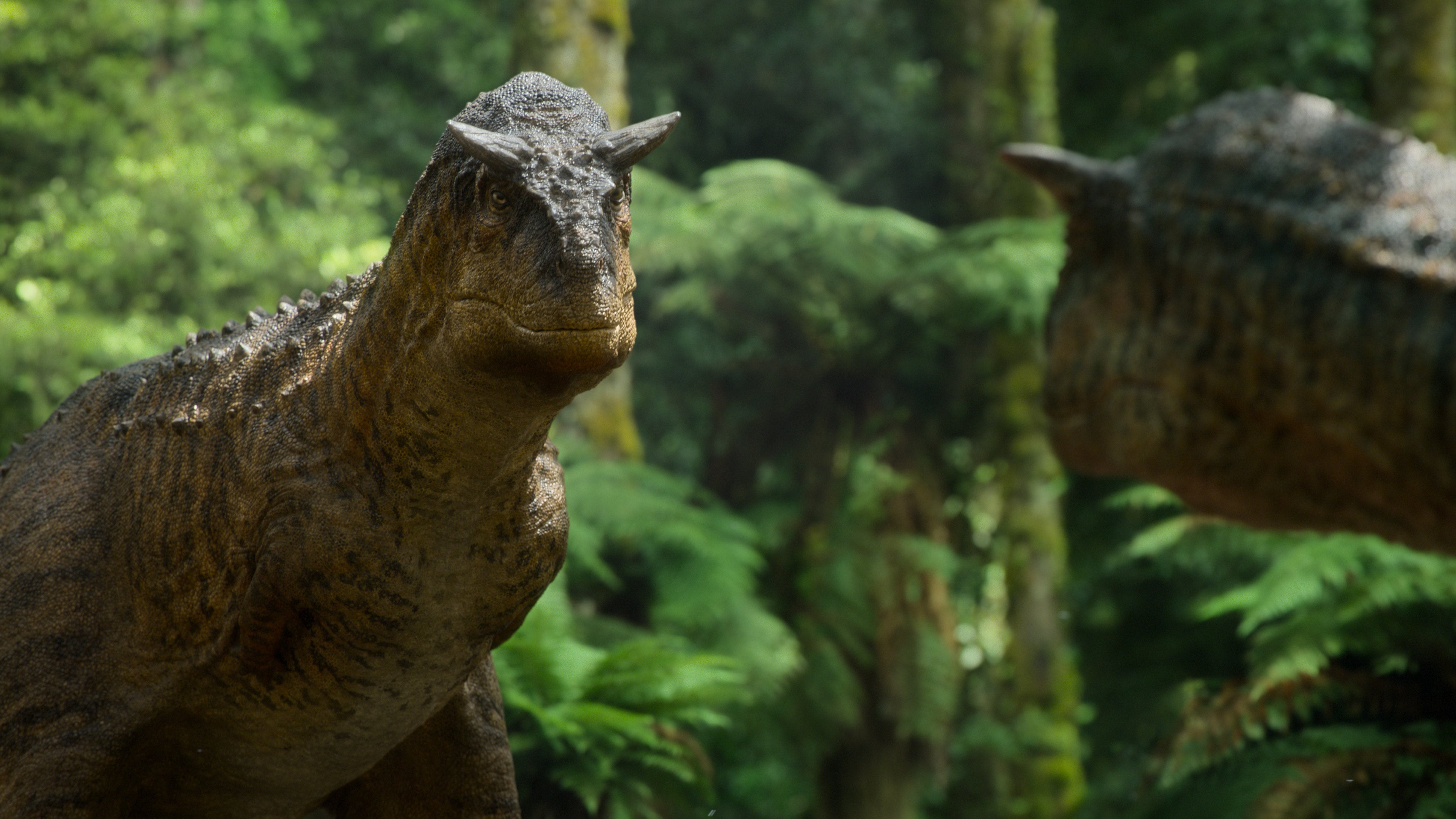 A male Carnotaurus looks at a potential mate. (Image: Apple)