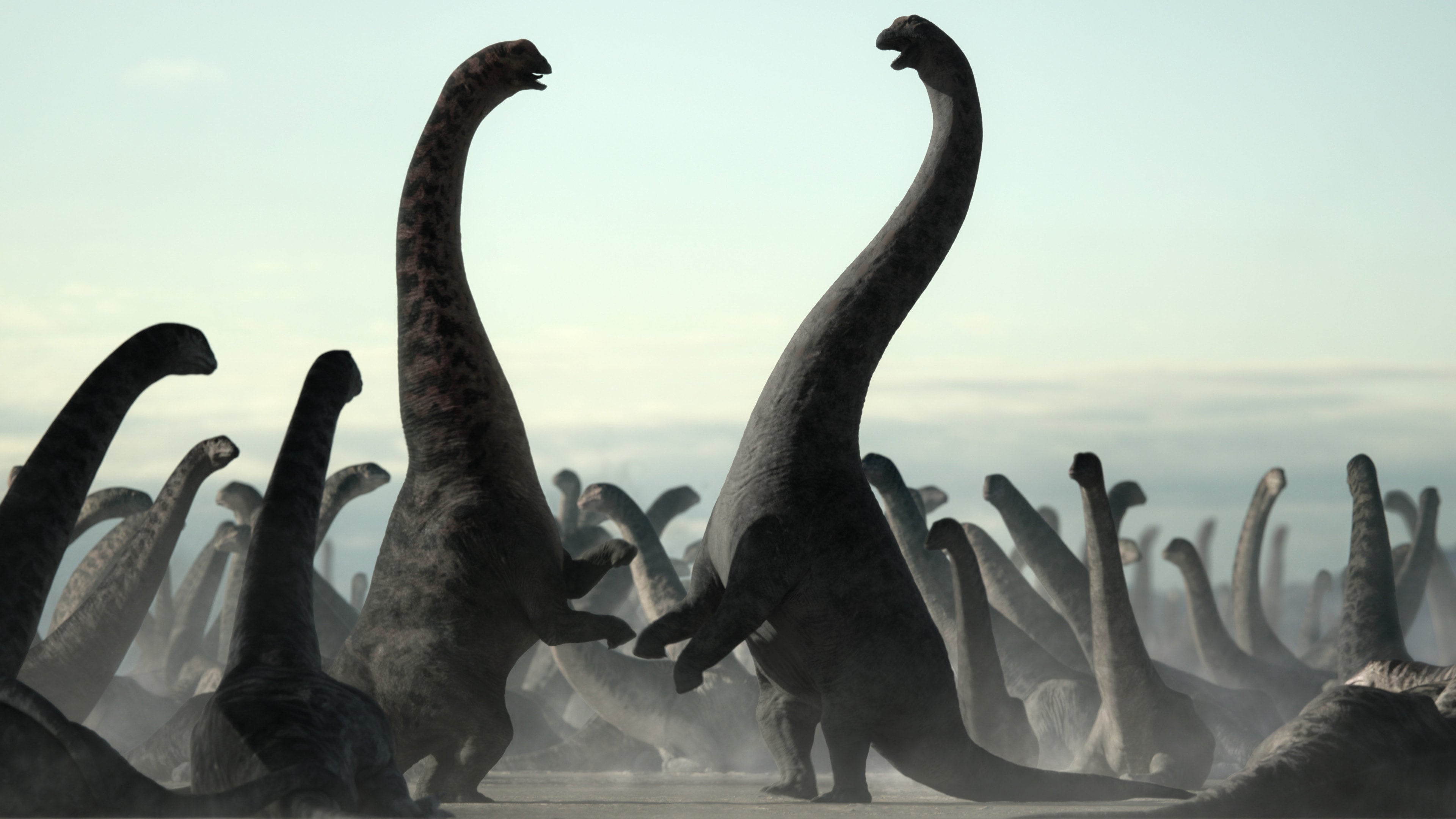 Two massive male Dreadnoughtus in combat. (Image: Apple)