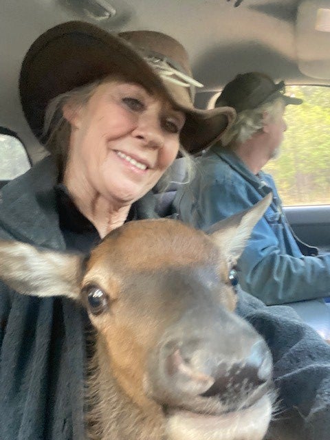 Cinder selfie: driving with ranchers Lisa and Carl Bartley.  (Photo: USDA Forest Service)