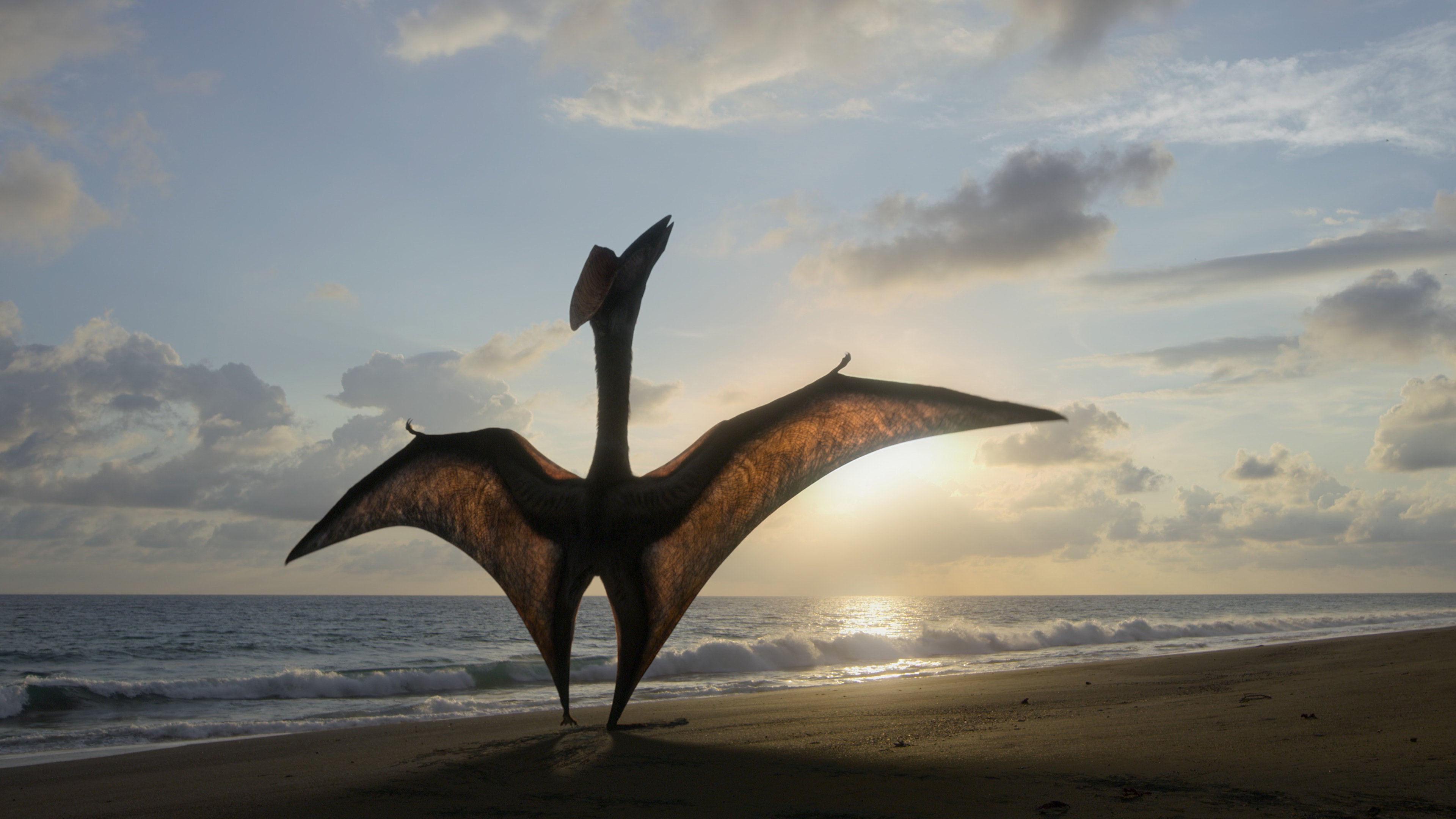 Hatzegopteryx, a Cretaceous pterosaur, stretching out on a beach. (Image: Apple)
