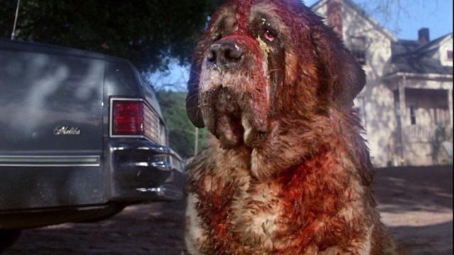 Stephen King’s Got a Cujo Follow Up in the Works
