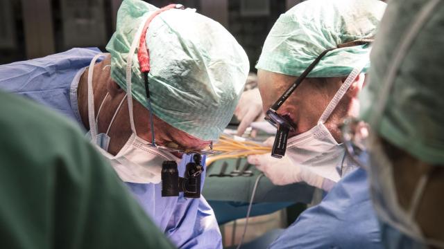 In a First, Surgeons Transplant Human Liver Preserved Outside the Body for 3 Days