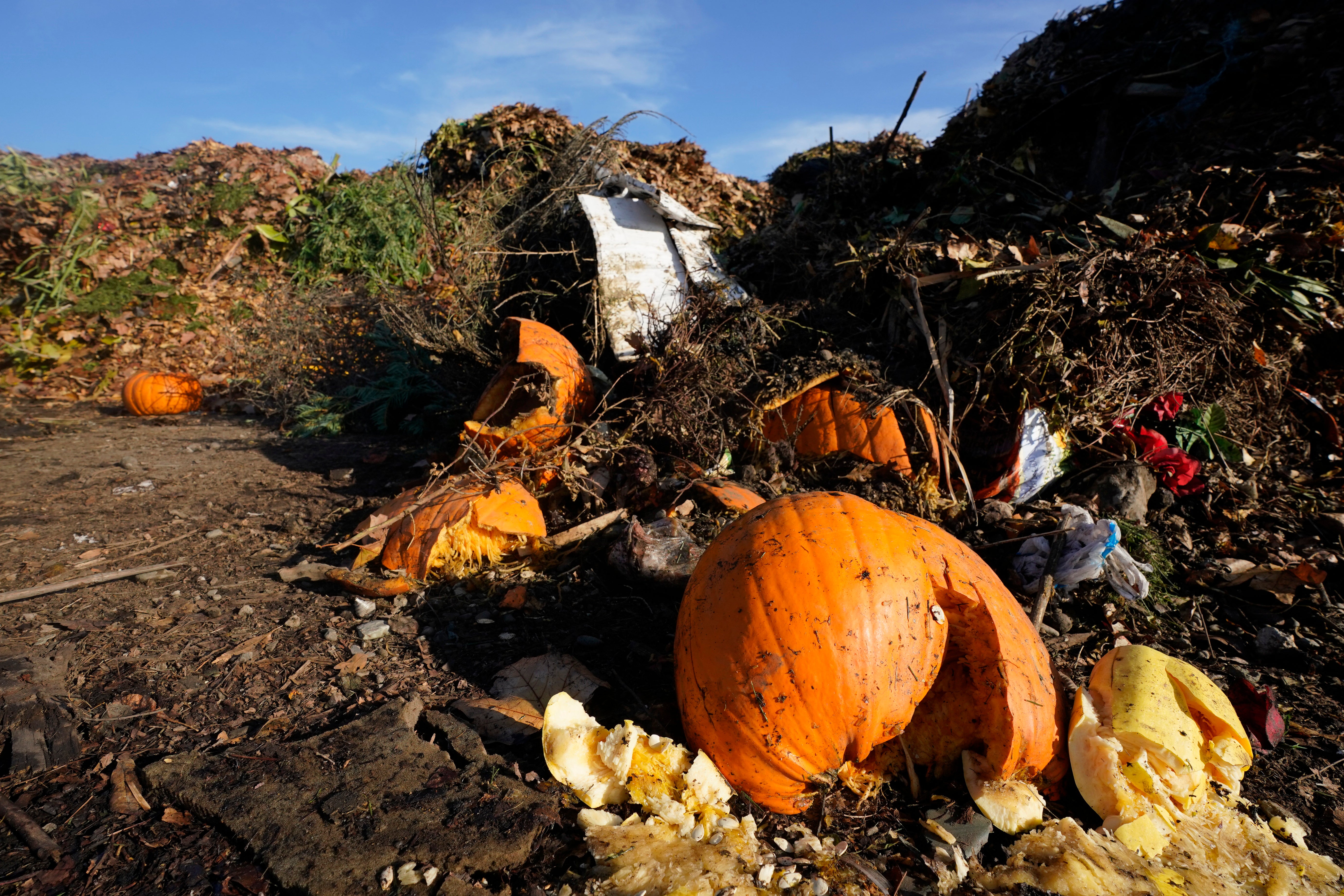 Pumpkins and other compostable waste at the Anaerobic Composter Facility in Woodland, California. (Photo: Rich Pedroncelli, AP)