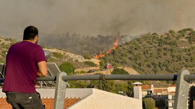 Wildfire Rages Through Suburbs of Athens, Greece