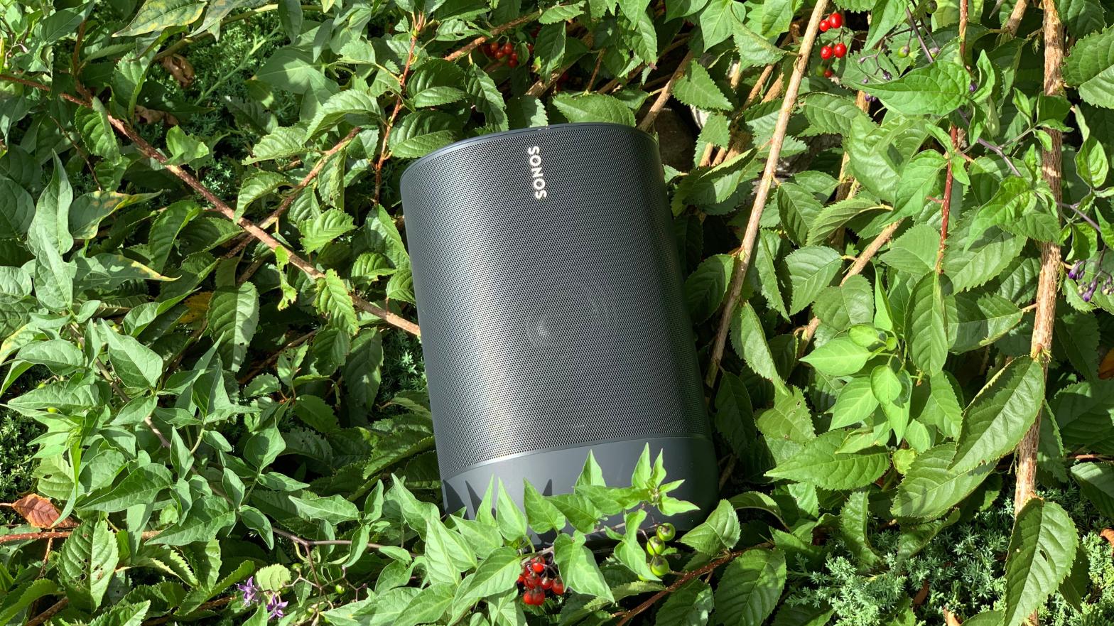A Sonos in the green grass, rather than in a Google Assistant smart home.  (Photo: Adam Clark Estes / Gizmodo)