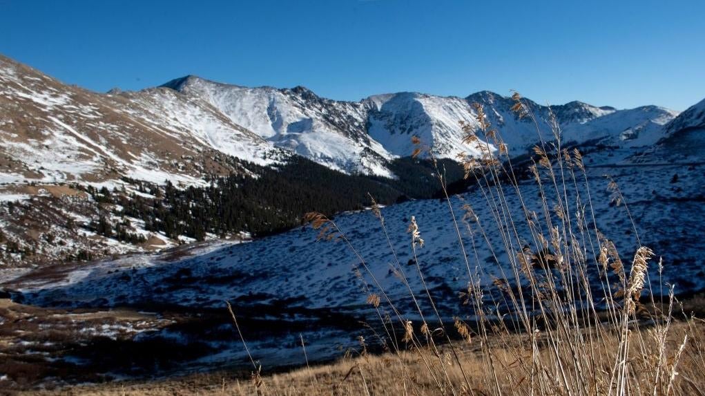 A mountain meadow in Summit County, Colorado in 2021. (Photo: JASON CONNOLLY/AFP, Getty Images)