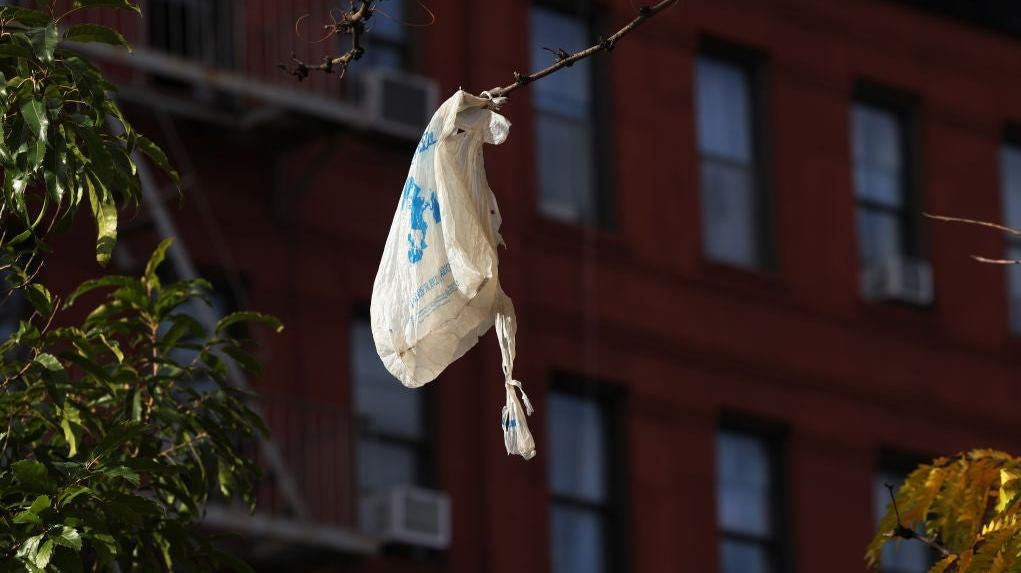 A plastic bag hangs off a tree branch.  (Photo: Michael M. Santiago, Getty Images)
