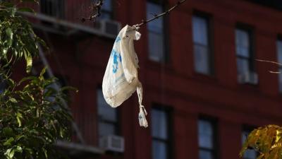 Environmental Group Sues California Stores Over Un-Recyclable Plastic Bags