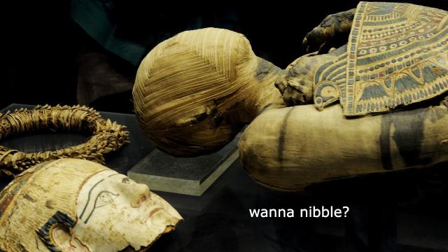 Once Upon a Time People Ate Egyptian Mummies