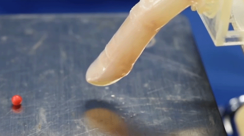 A robotic finger covered with the epidermis has water-repellent properties. (Gif: Matter Kawai et al)