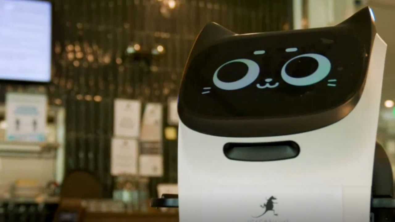 cafe canberra robot