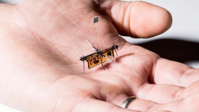 Fall in Love with These 5 Tiny Robots