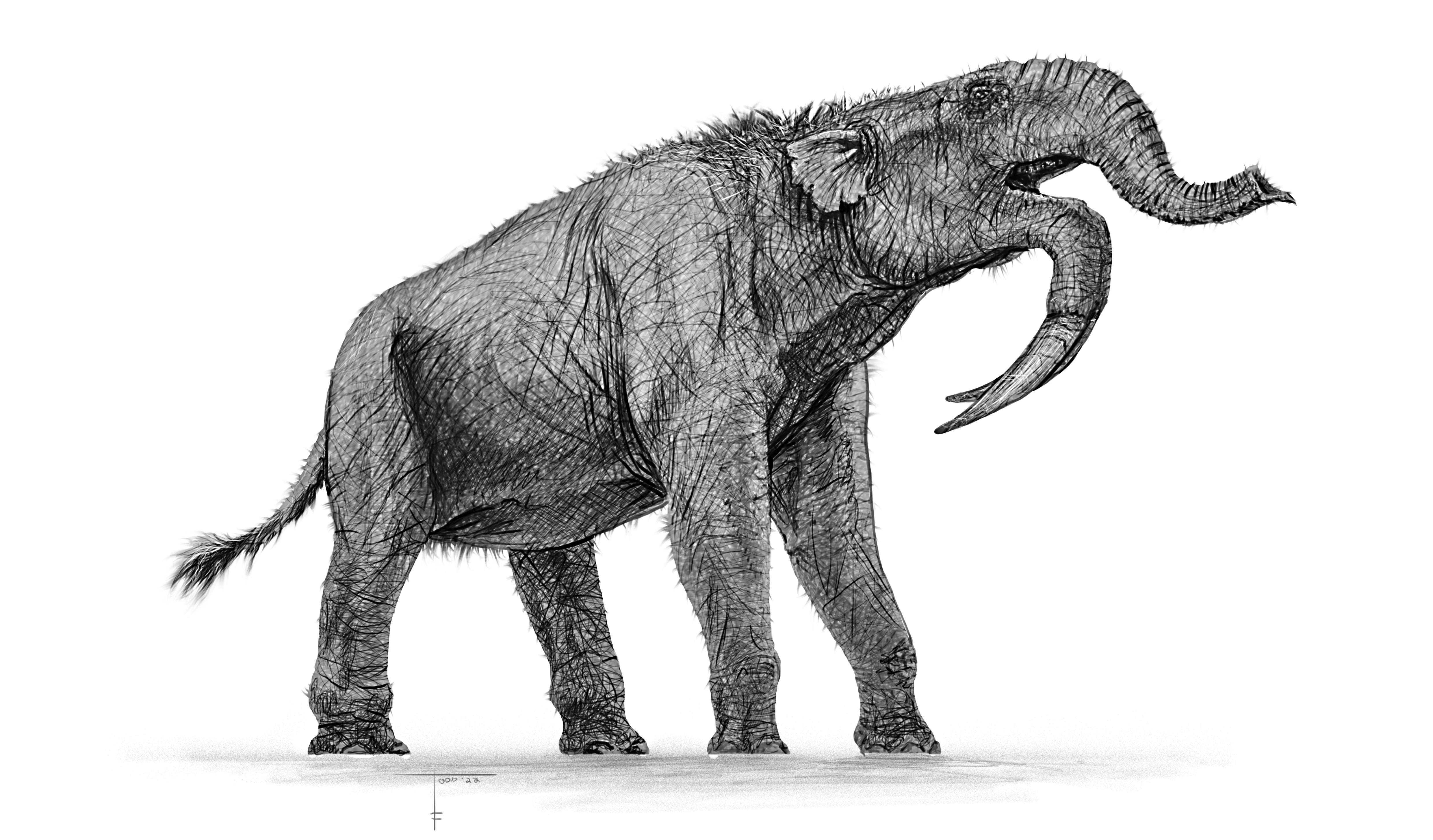 Deinotherium, an ancient proboscidean. (Illustration: Steve Brusatte / The Rise and Reign of Mammals)