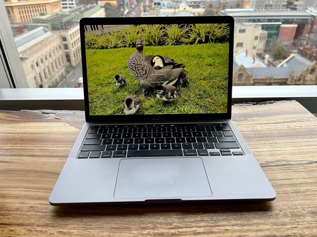 The M2 MacBook Pro sits on a wooden table with a picture of a disgruntled duck