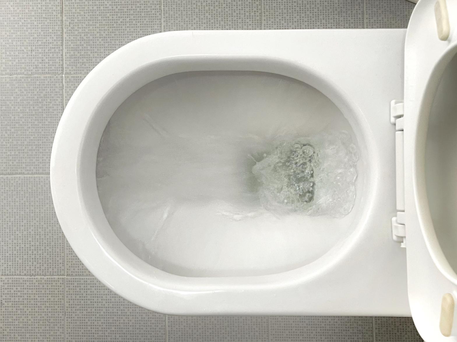poop particles toilet