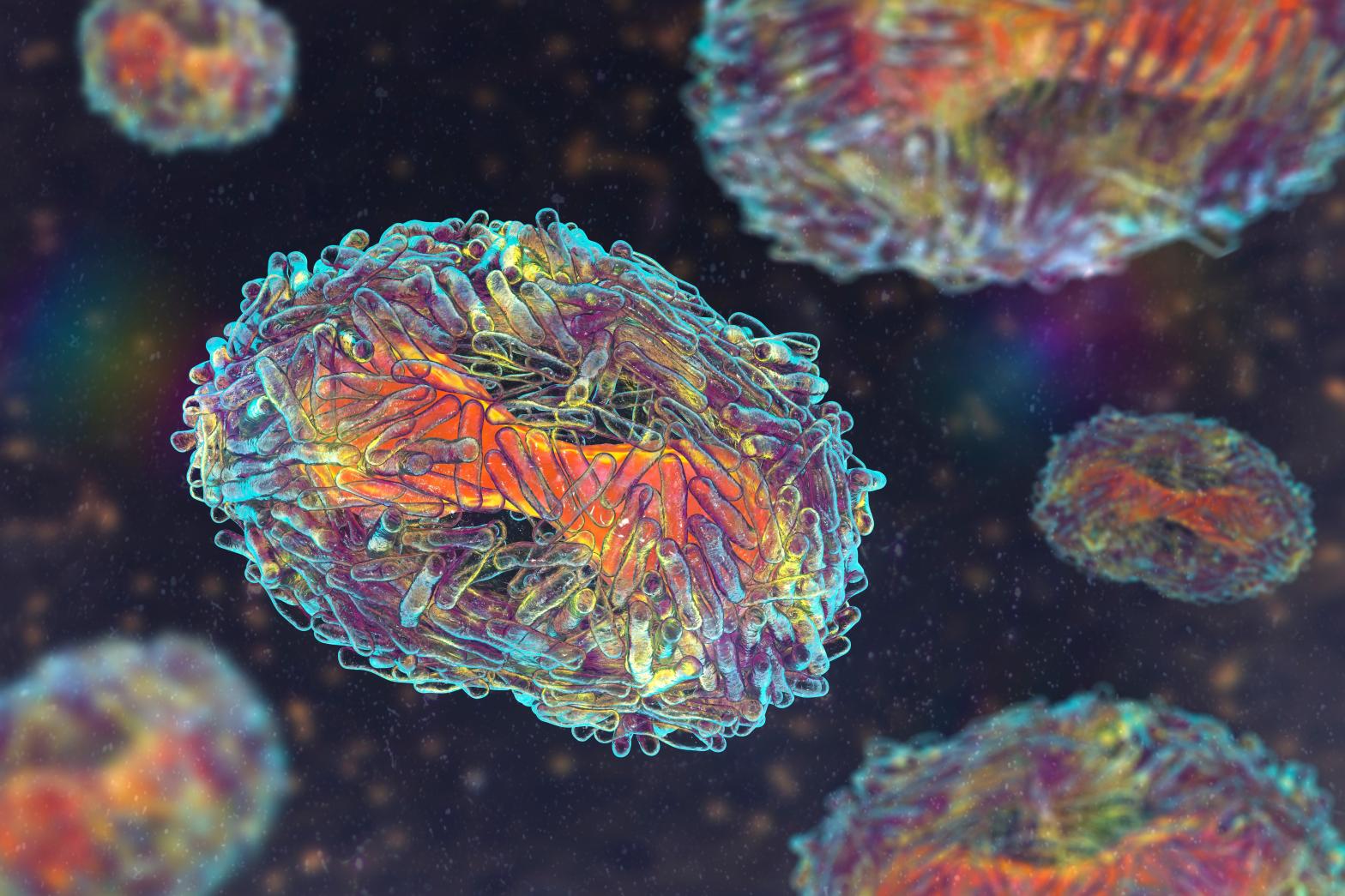 3D illustration of monkeypox virus (Illustration: Kateryna Kon, Shutterstock)