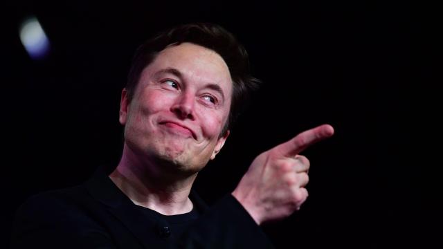 Elon Tells Twitter He Needs Moar Data, Twitter Gives It to Him