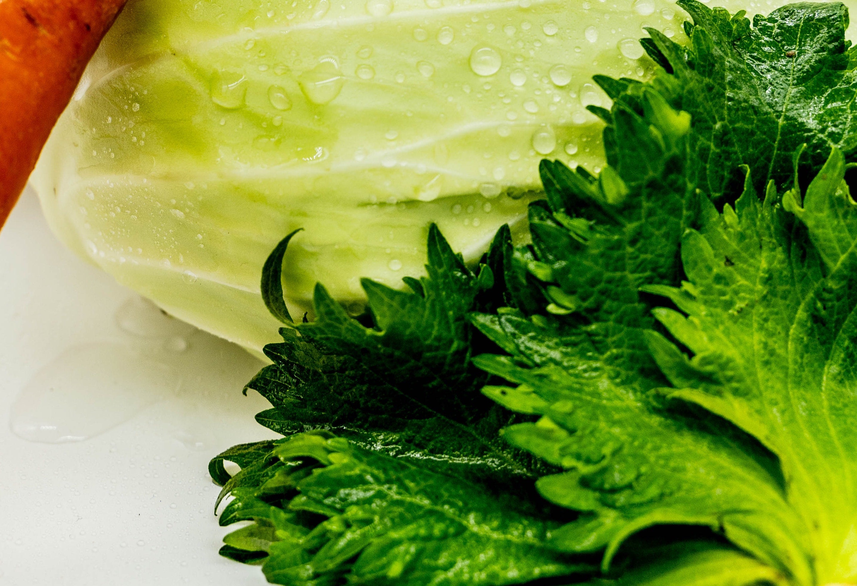 Perilla is often used in cuisines in several Asian countries. It is also a salad green.  (Photo: ibuki Tsubo/Unsplash)