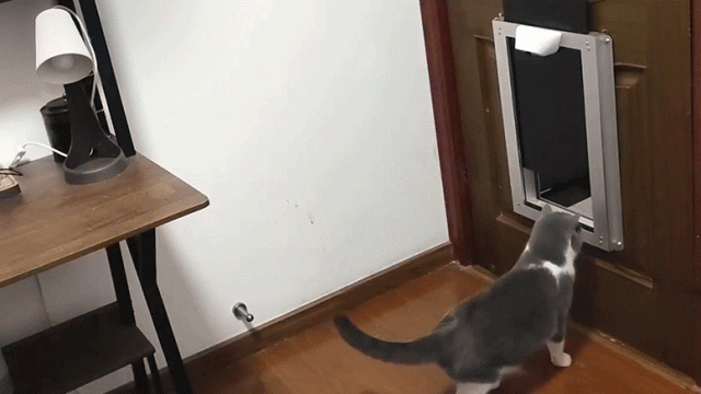 Smart Pet Door Uses Facial Recognition to Keep Critters Out