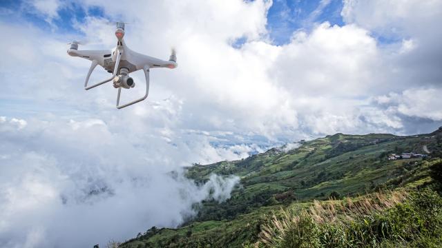 Drones and DNA Tracking: How These High-Tech Tools Are Helping Nature Heal