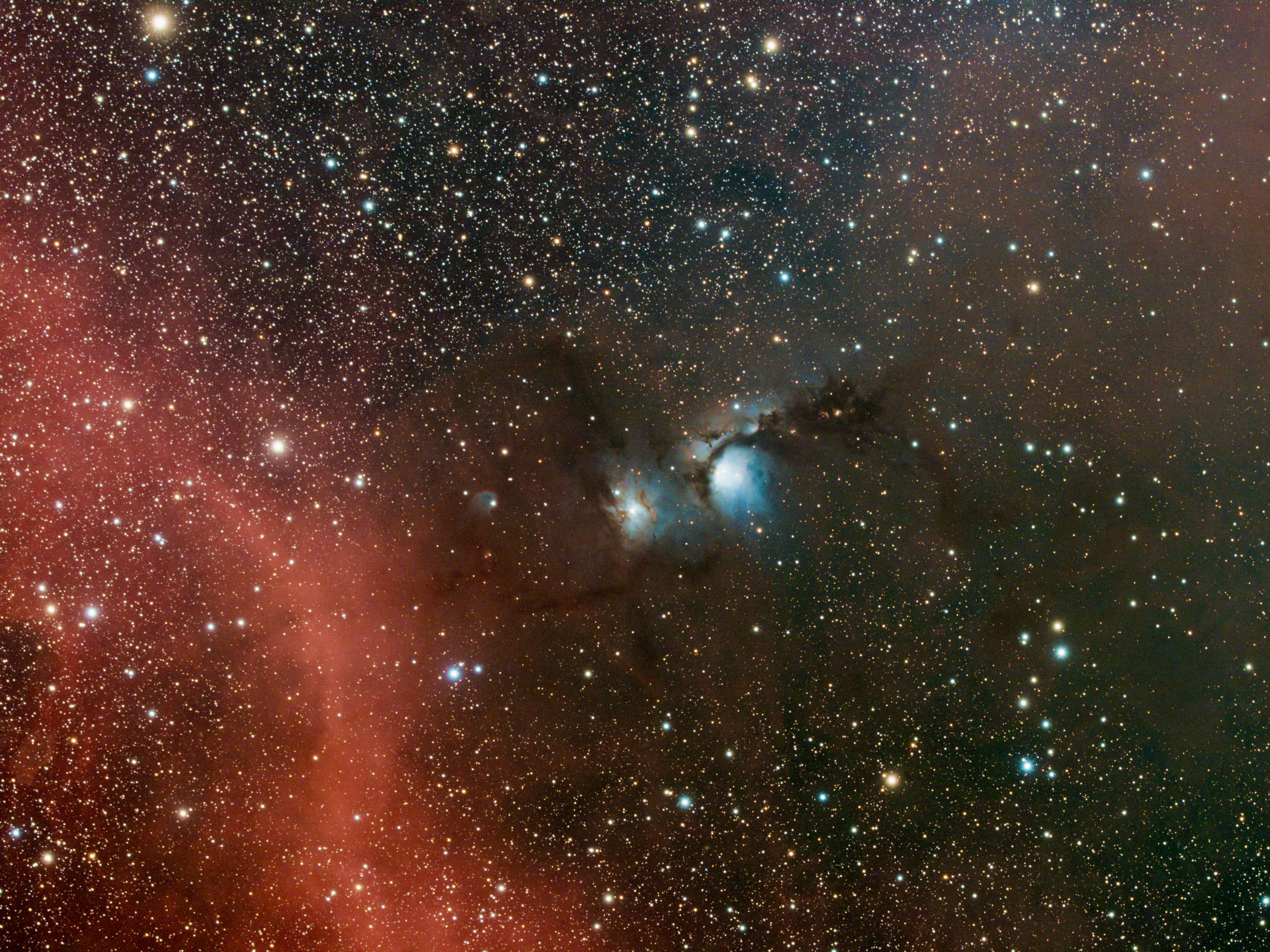 Messier 78 glows blue, surrounding by the starry backdrop of space. (Photo: © David Loose)