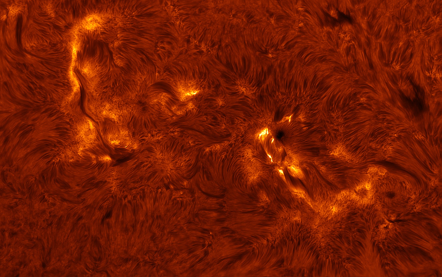 The abstract swirls of the Sun's superheated surface. (Image: © Stuart Green)