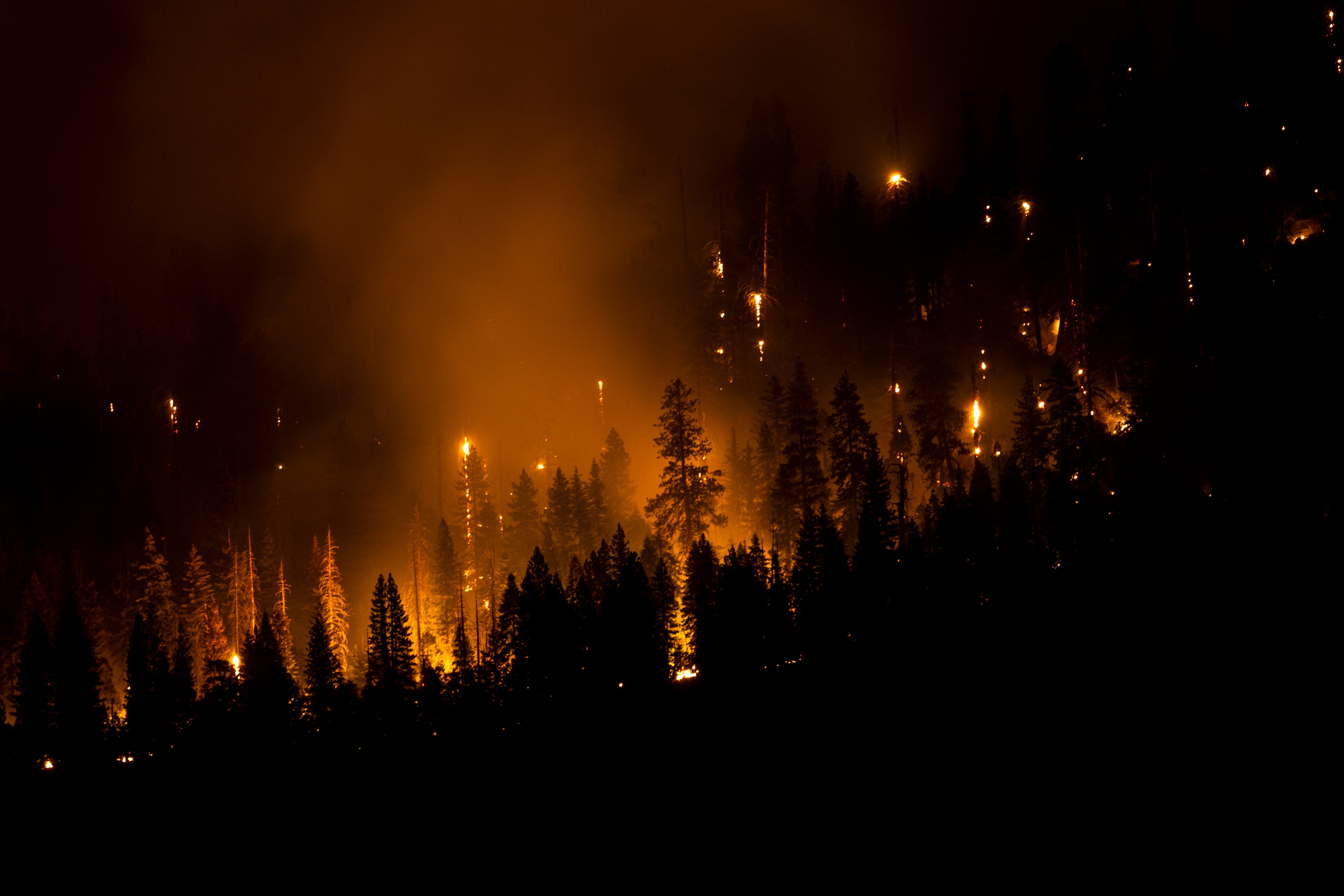 Trees burning on a hillside in Yosemite National Park on Saturday, July 9. (Photo: Stephen Lam/San Francisco Chronicle, AP)
