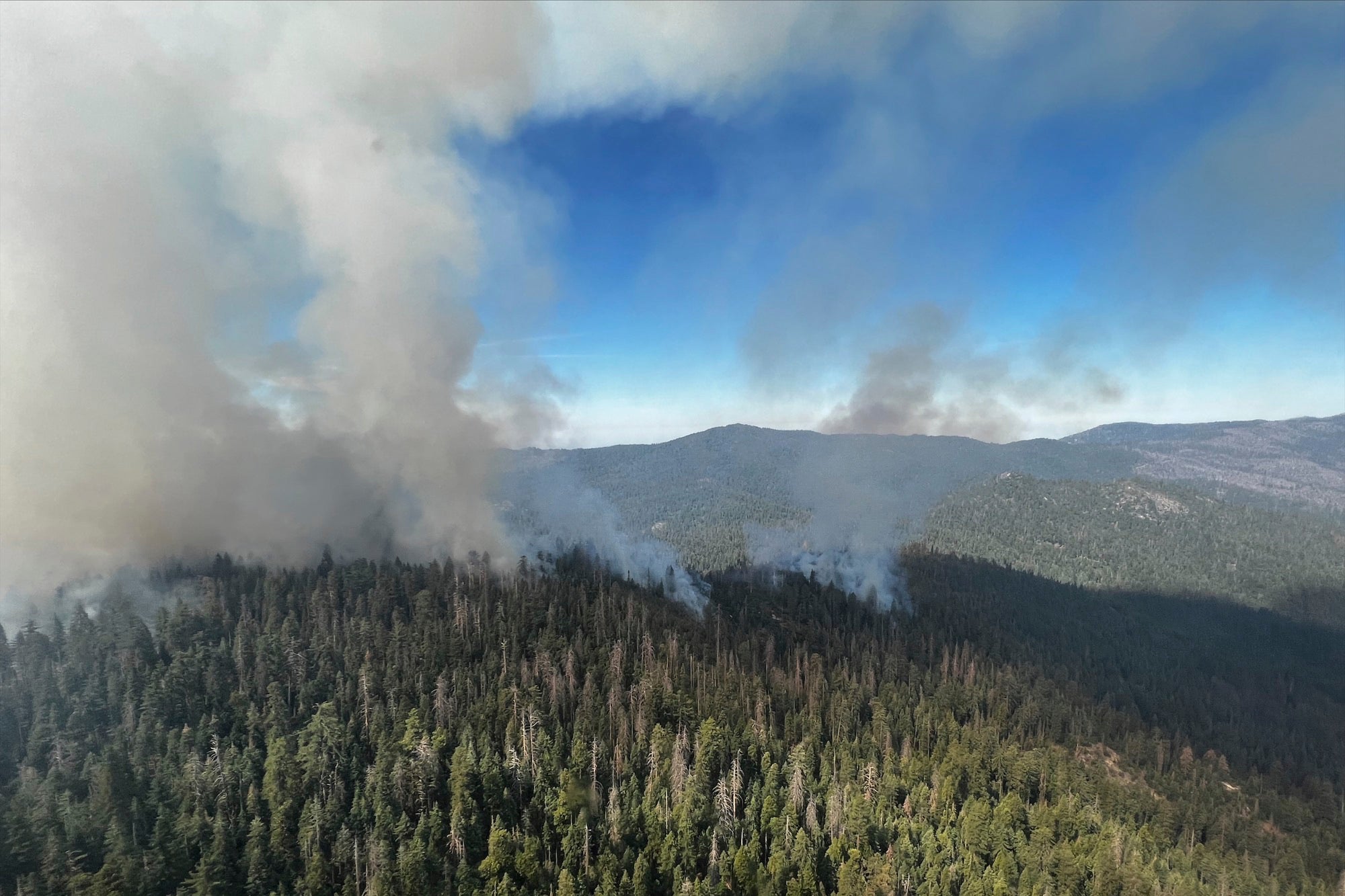 Smoke keeps rising from the Washburn Fire in Yosemite National Park on Friday, July 8. (Photo: National Park Service, AP)