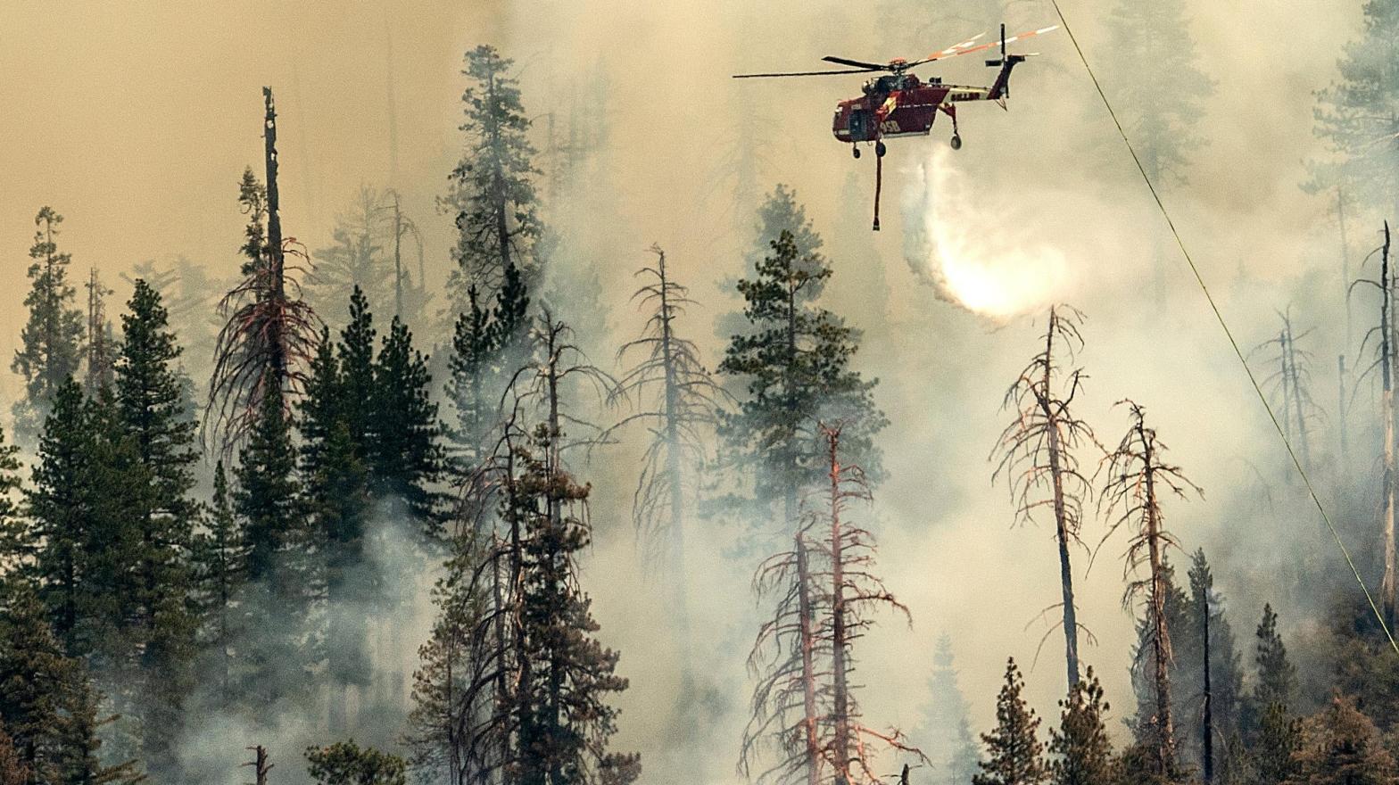 A helicopter drops water on the Washburn Fire in Yosemite National Park on July 9, 2022. (Photo: Noah Berger, AP)