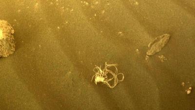 Mars Spaghetti: NASA’s Perseverance Rover Spots a Strange Tangle