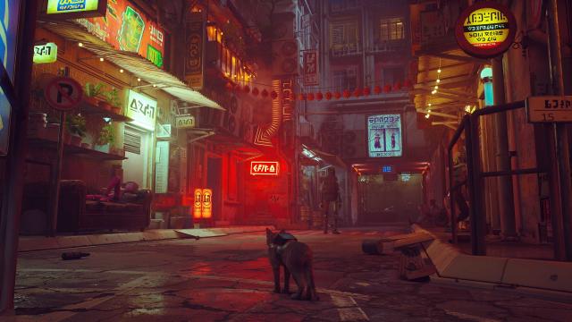 PS5™ STRAY the CAT game  Gameplay Playstation®5 