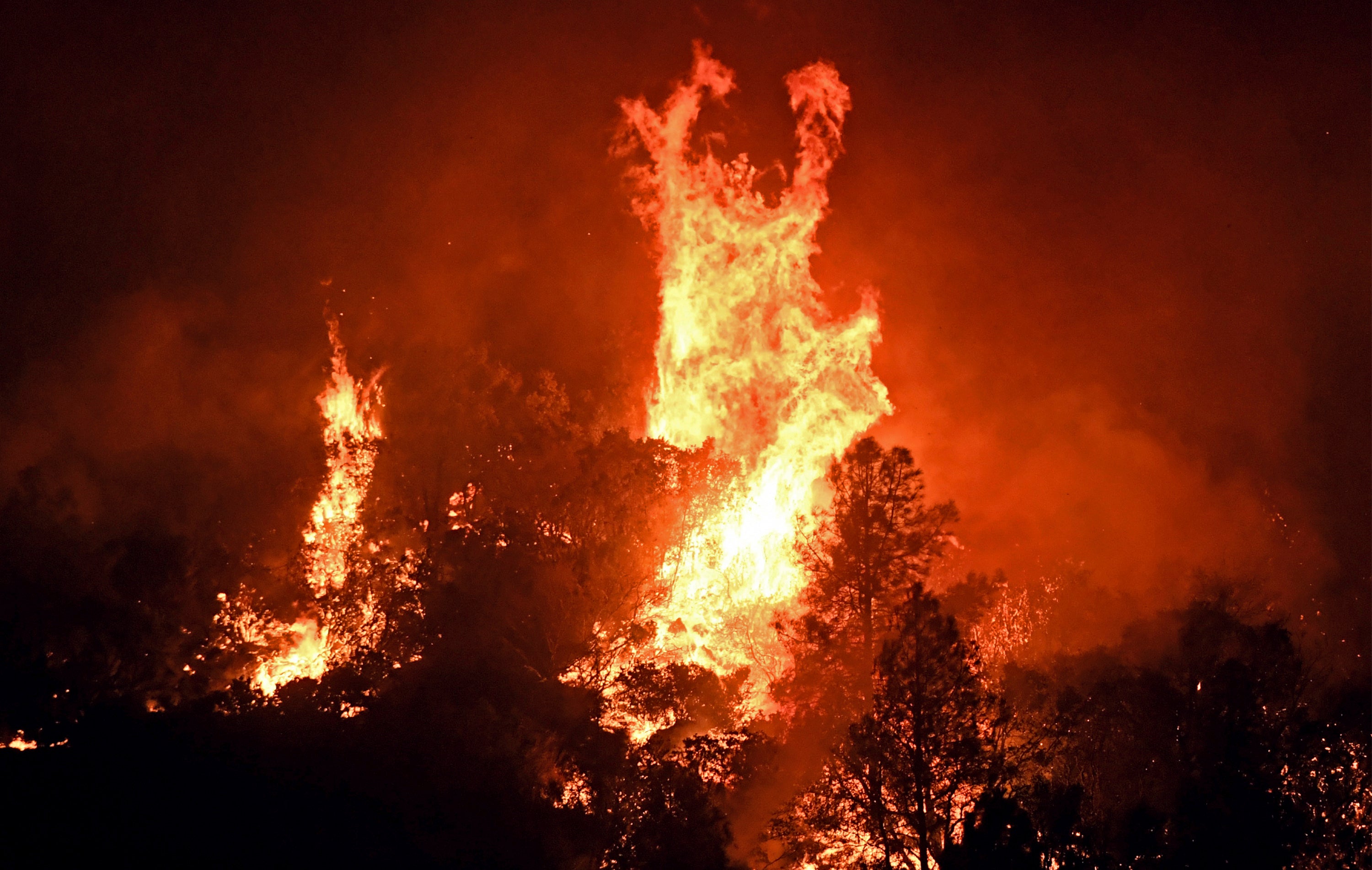 High winds cause tree canopies to flare up as a wildfire burns east of Midpines in Mariposa County, Calif., Friday, July 22, 2022 (Photo: Eric Paul Zamora/The Fresno Bee, AP)