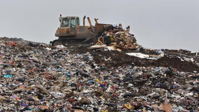 Bitcoin Dumpster Guy Has a Wild Plan to Rescue Millions in Bitcoin From a Landfill
