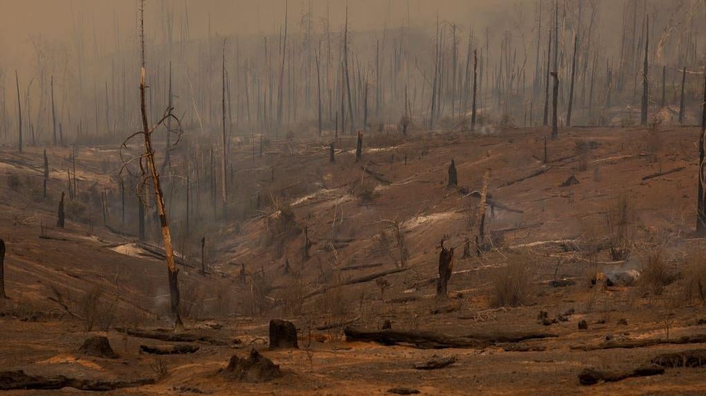 A forest is smouldering after the Oak Fire near Mariposa, California, on July 24, 2022. (Photo: DAVID MCNEW / AFP, Getty Images)