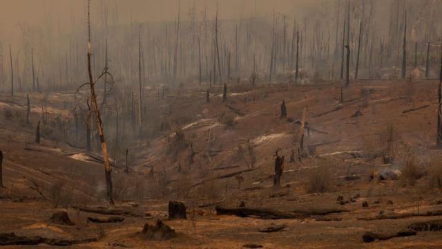 A Wildfire Is Spreading Toward Yosemite National Park