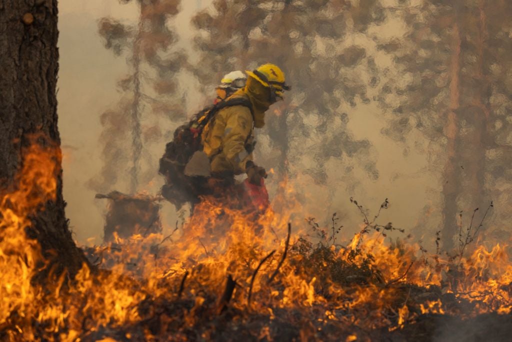 A firefighter lights a backfire near Mariposa, California, on July 24, 2022. (Photo: DAVID MCNEW/AFP, Getty Images)