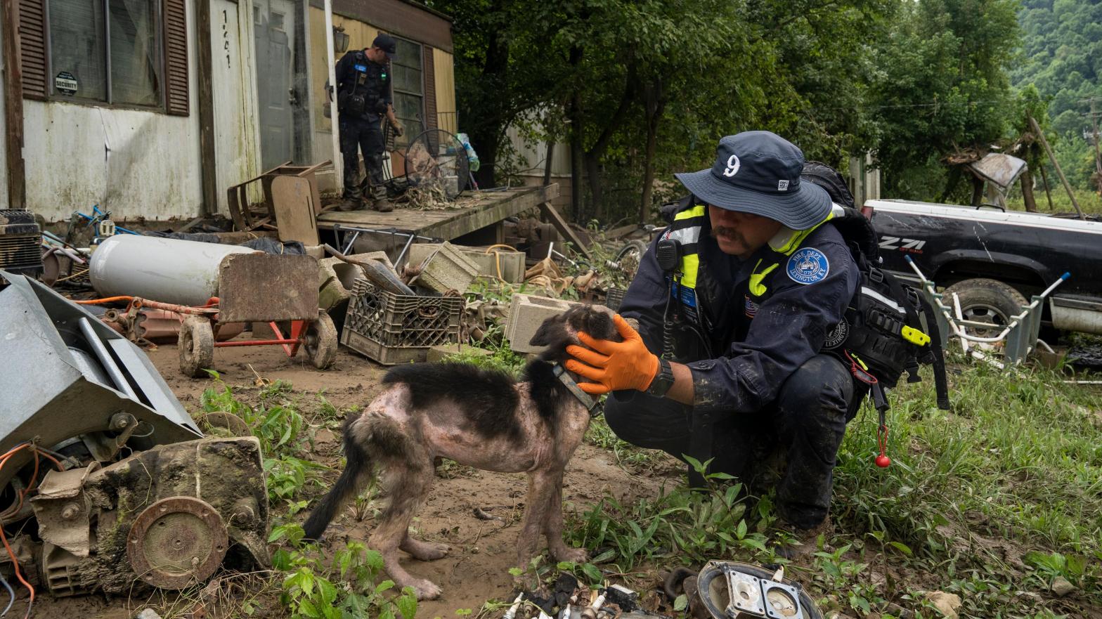 A firefighter from the Lexington Fire Department Search and Rescue team  checks on a dog during a targeted search on Highway 476 where three  people are still unaccounted for on July 31, 2022 near Jackson,  Kentucky. (Photo: Michael Swensen, Getty Images)