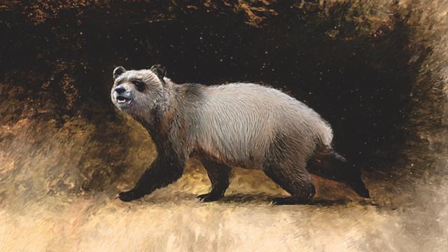 This Weird Panda Once Roamed Europe, Paleontologists Say